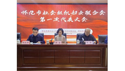 怀化市社会组织妇女联合会成立
